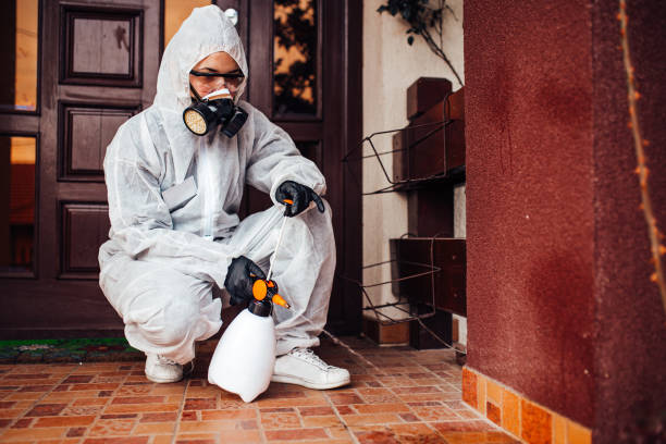 Reliable Bed Bug Control contractor in Centerton, AR by Nex Pest Control